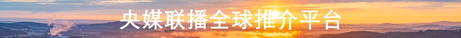 中国书画家数据库