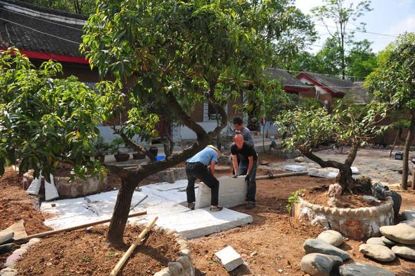核桃树下牡丹艳 拨云岭村开山修路20年拨开云雾见幸福