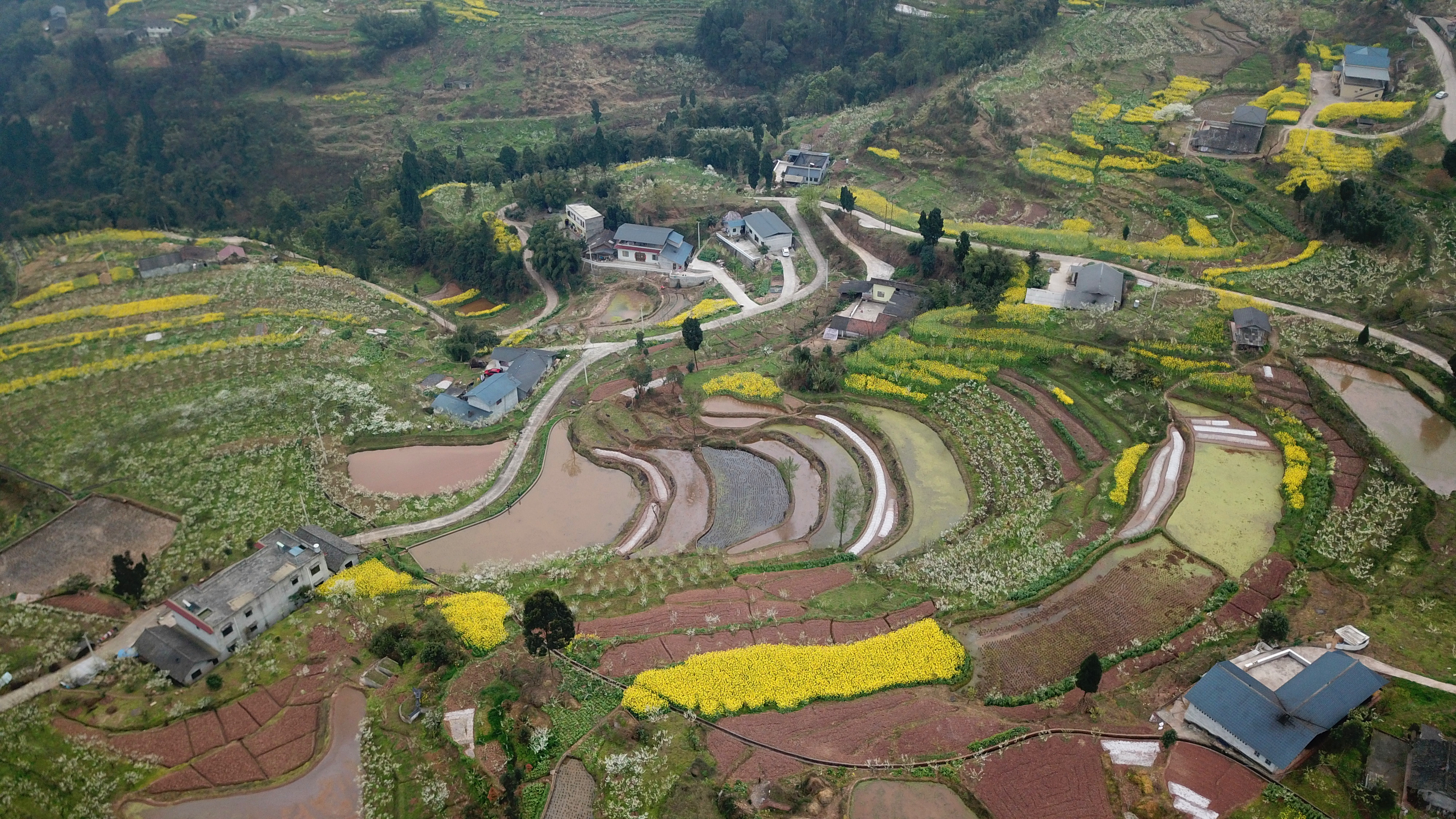 犍为双溪小市村：打造“花园村庄”助力乡村振兴