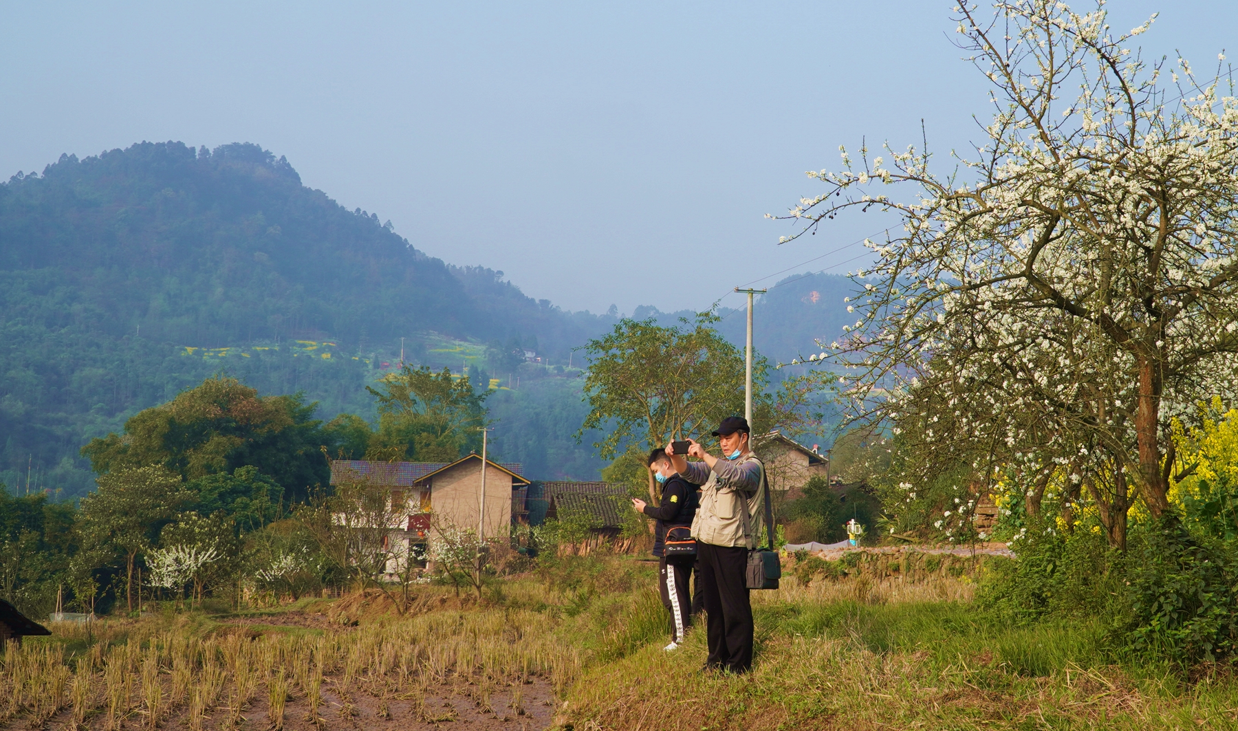 犍为双溪小市村：打造“花园村庄”助力乡村振兴