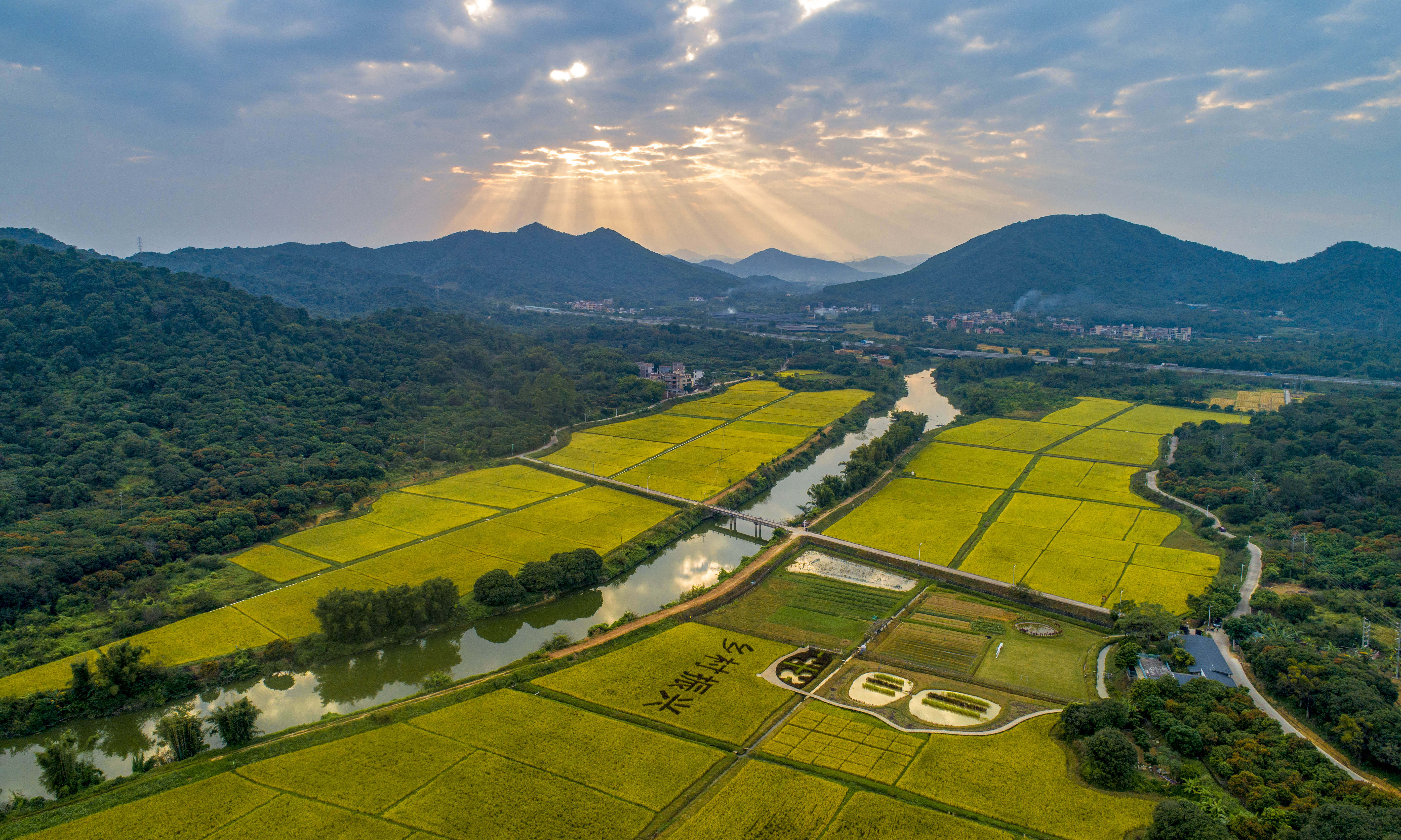 探索超大城市中的乡村振兴之路，广州从化再提速