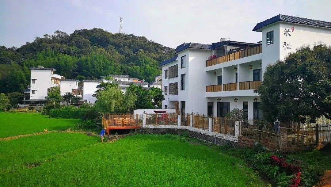 探索超大城市中的乡村振兴之路，广州从化再提速