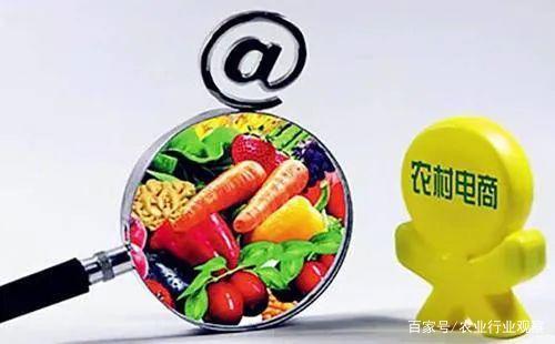 政策加持！农村电商下一站：产业化！