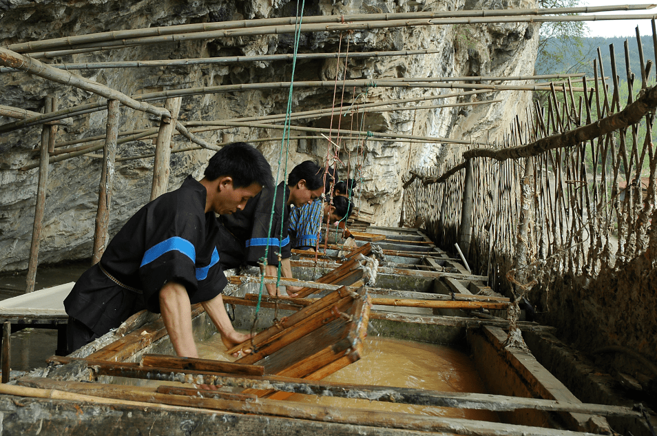 乡村旅游呈多元蓬勃发展趋势 | 为乡村振兴加码助力 
