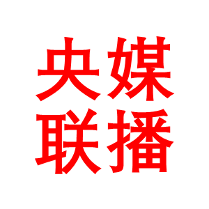 央媒联播