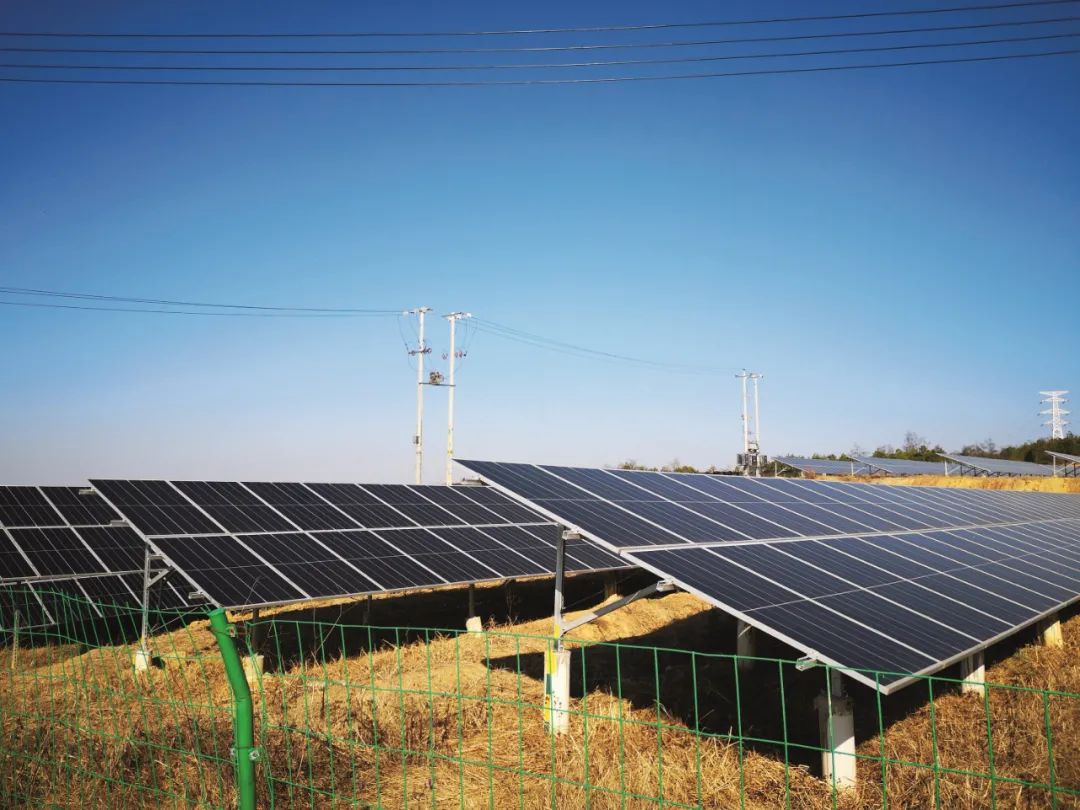 基层干部在乡村振兴中要把握的着力点——以云南省为例