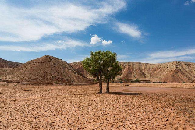 中国乡村面临千年未有之变局，该何去何从？
