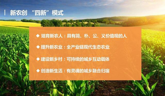 中国乡村面临千年未有之变局，该何去何从？