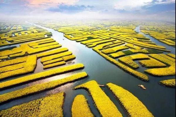 第十一届企业社会责任年度盛典｜刘守英：企业家在乡村振兴中的作为