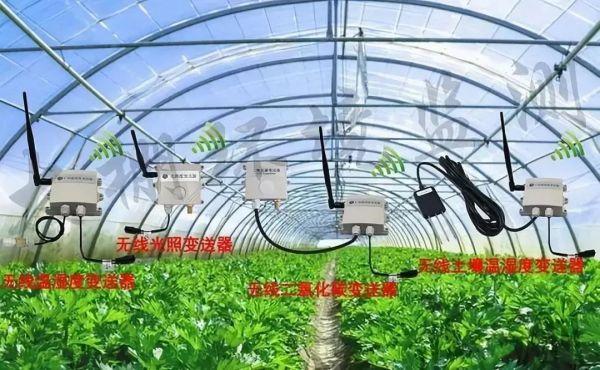 第十一届企业社会责任年度盛典｜刘守英：企业家在乡村振兴中的作为