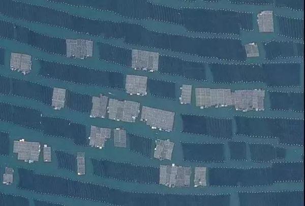 第十一届企业社会责任年度盛典｜刘守英：企业家在乡村振兴中的作为