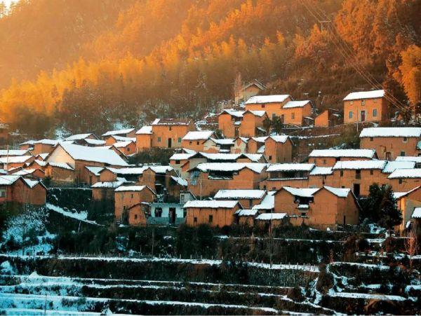 第十一届企业社会责任年度盛典｜刘守英：企业家在乡村振兴中的作为