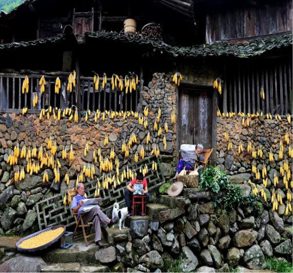 第十一届企业社会责任年度盛典｜刘守英：企业家在乡村振兴中的作为