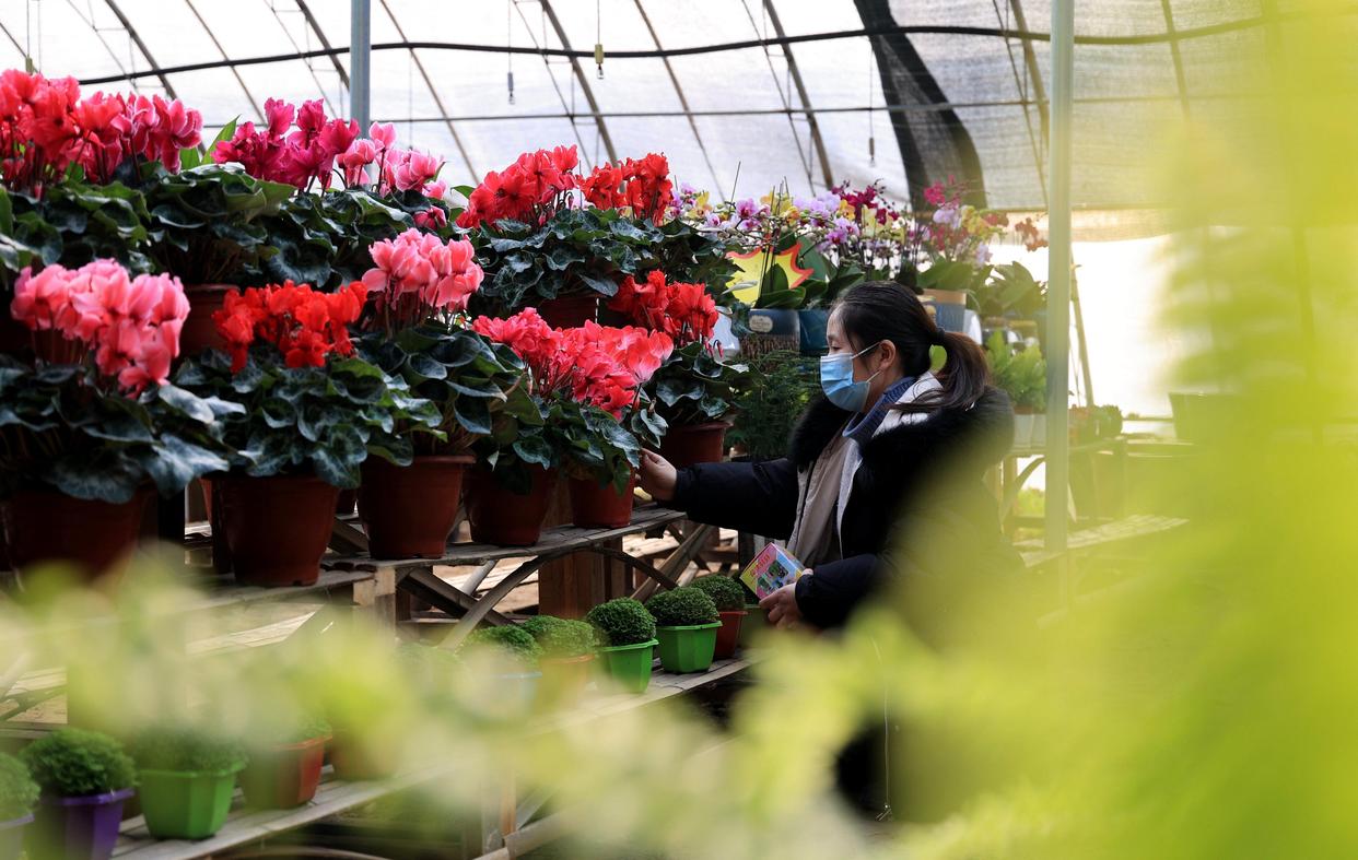 春节返乡观察：从这里看到乡村振兴的新气象