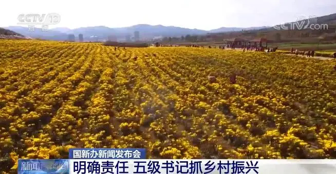 聚焦2022年乡村振兴｜明确责任 五级书记抓乡村振兴 稳扎稳打推进