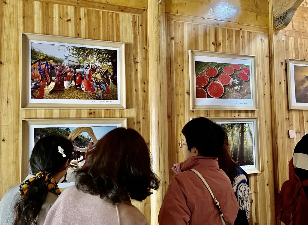 石台仁里：春风十里 芳华如你