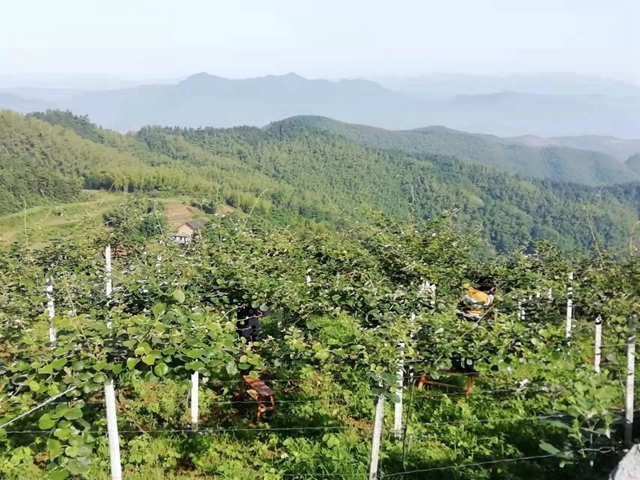 山下村：凝聚人心共筑梦 团结力量促发展