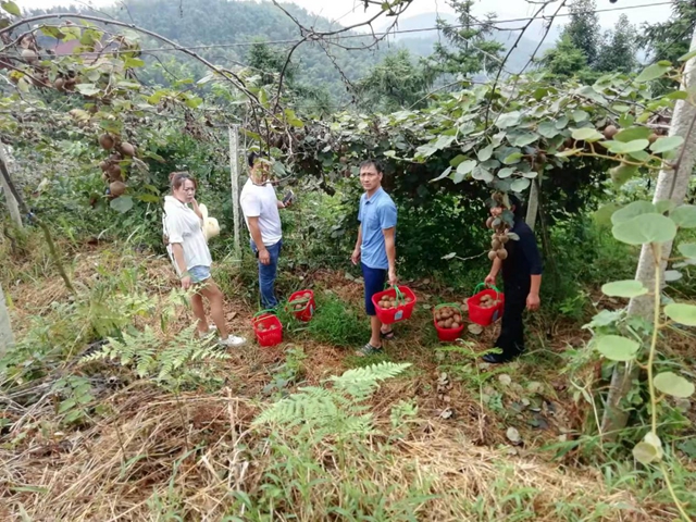 山下村：凝聚人心共筑梦 团结力量促发展