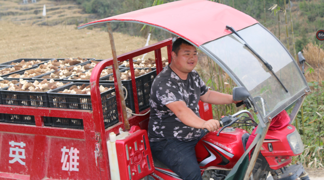 黄小康：大学生返乡创业 田野上圆梦青春