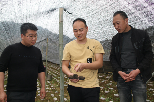 黄小康：大学生返乡创业 田野上圆梦青春