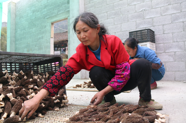 黄小康：大学生返乡创业 田野上圆梦青春