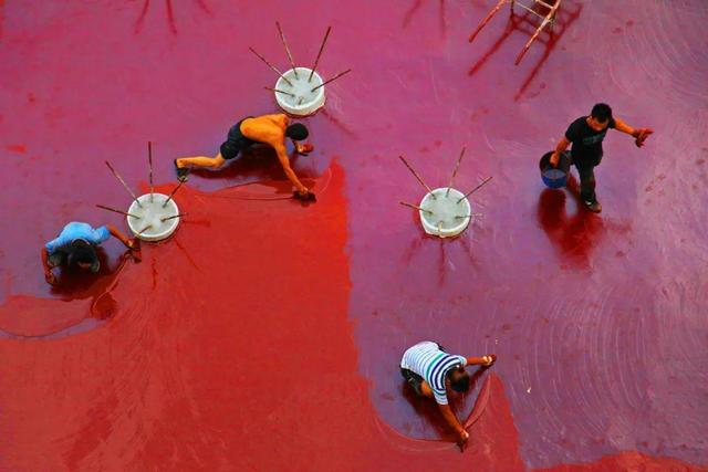 临朐：「助力东亚文化之都创建」书画摄影作品