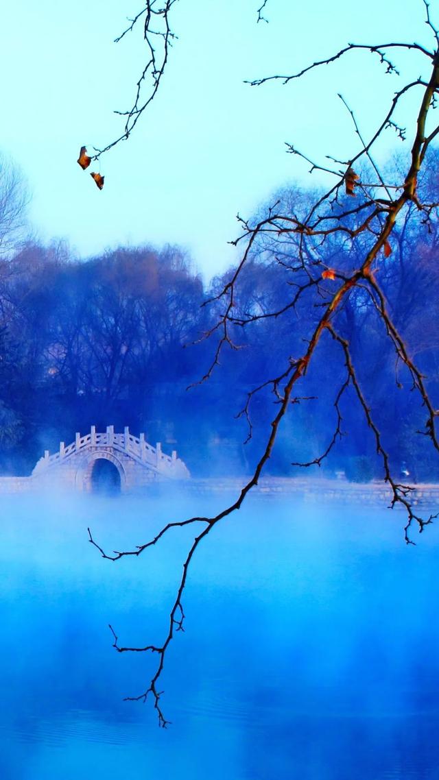 临朐：「助力东亚文化之都创建」书画摄影作品