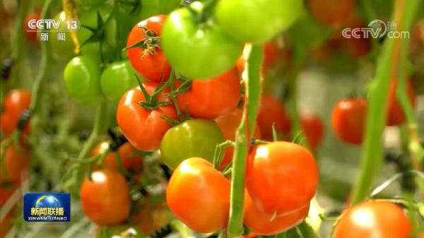 全面推进乡村振兴产业更兴旺 乡村更宜居