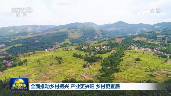 全面推进乡村振兴产业更兴旺 乡村更宜居