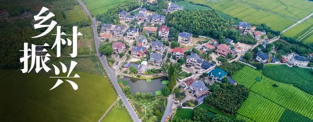 全面推进乡村振兴的战略意义和实践路径