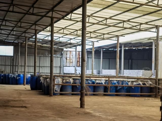 返乡创业，初见成效——记麻江县90后大学毕业生杨光珍