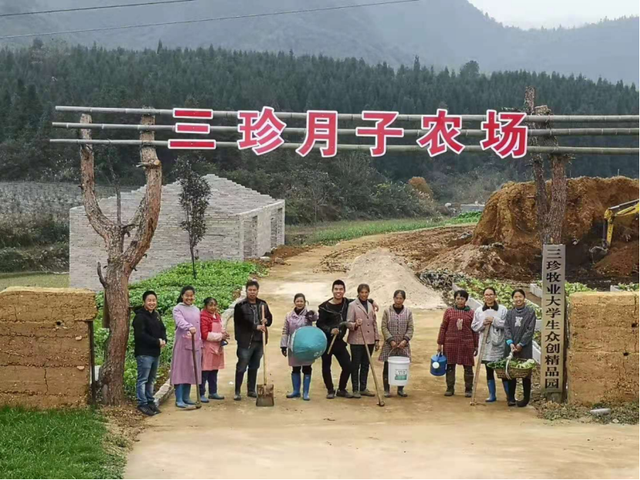 返乡创业，初见成效——记麻江县90后大学毕业生杨光珍