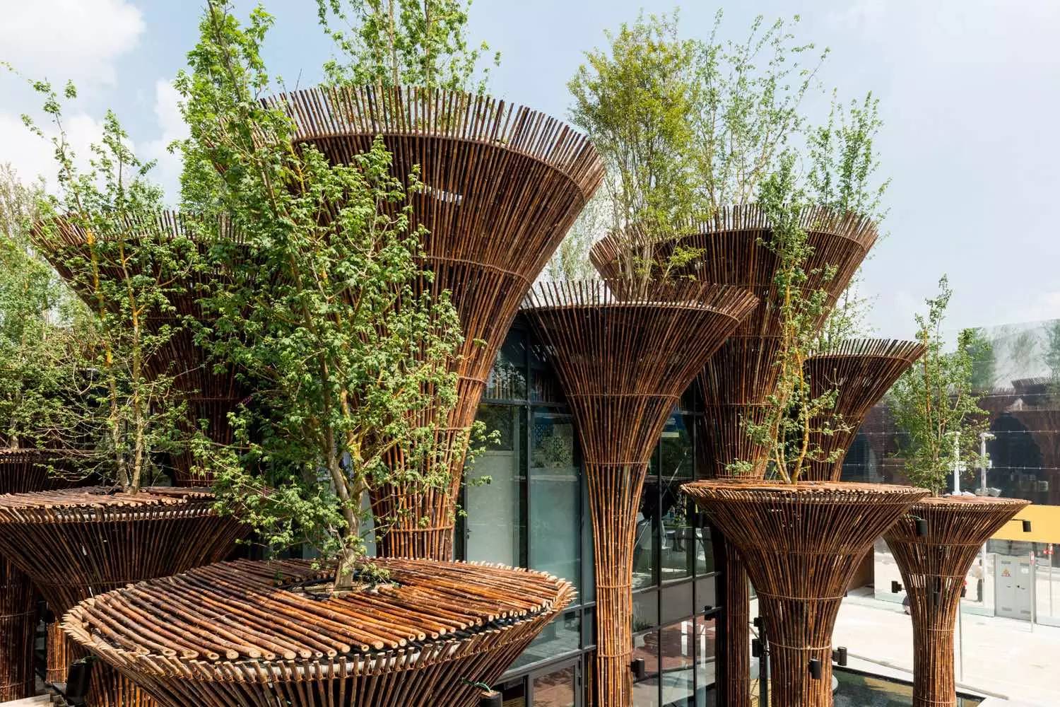 他是最会用竹子造房子的设计师，没有之一