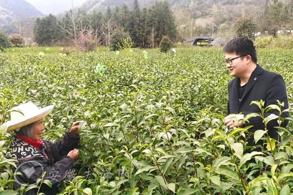 石台县：“四个一线”淬炼乡村选派尖兵