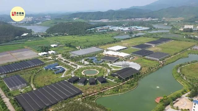 香港青年获广东“五四”表彰，总结创业经有这三条硬道理