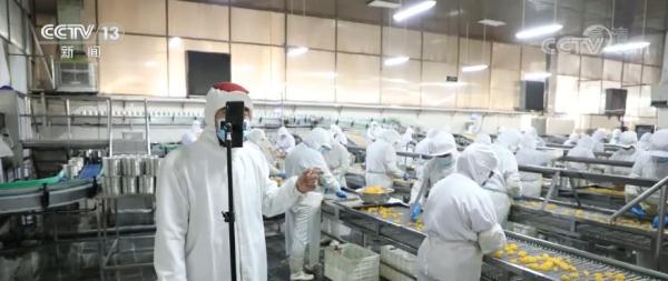 新时代中国青年 | “农新人”返乡创业投身乡村振兴“大舞台”