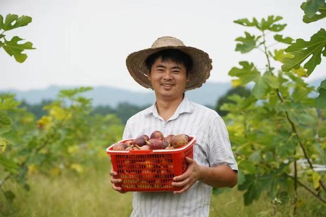 乡村青年CEO：我们只有一个使命，就是让村子富起来