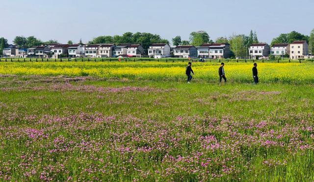 安徽怀宁：守护绿水青山 助推乡村振兴