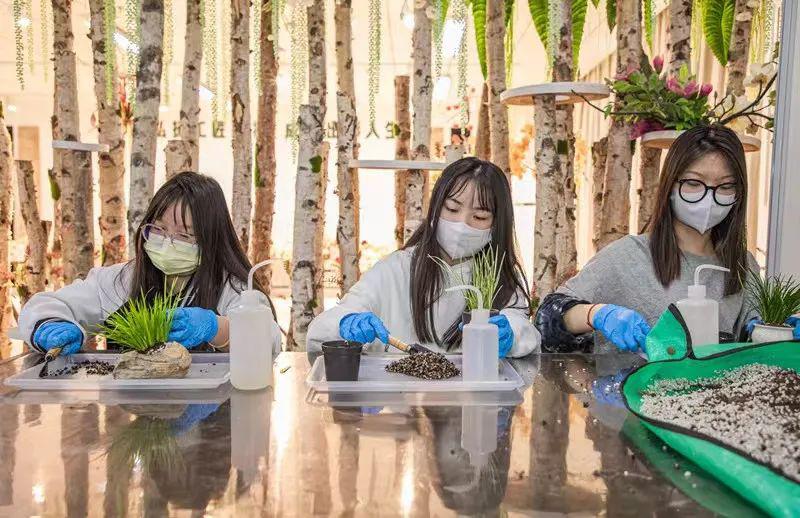 江夏非遗走进职教课堂，技能展演有亮点！