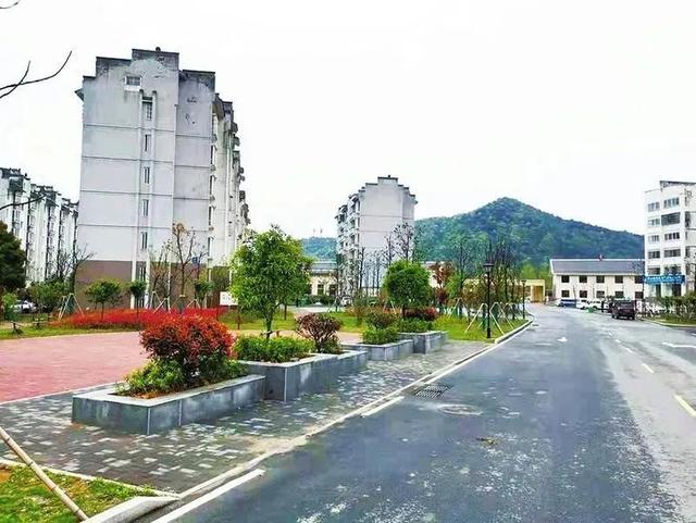 文明花开香满城 池州市大力推进全国文明城市创建工作