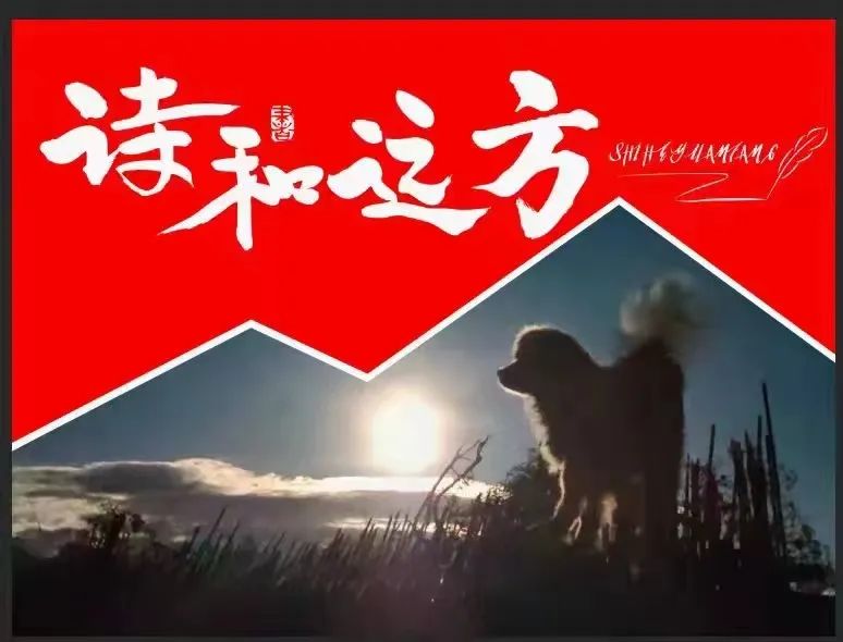 《中华诗园》杂志即将重装面世