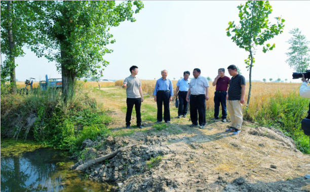 阜南县老观乡河口村乡村振兴调研