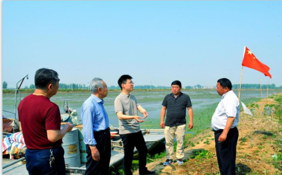 阜南县老观乡河口村乡村振兴调研