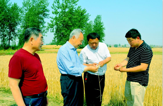 阜南县老观乡河口村乡村振兴调研
