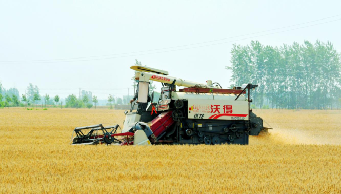 阜南县老观乡河口村乡村振兴调研