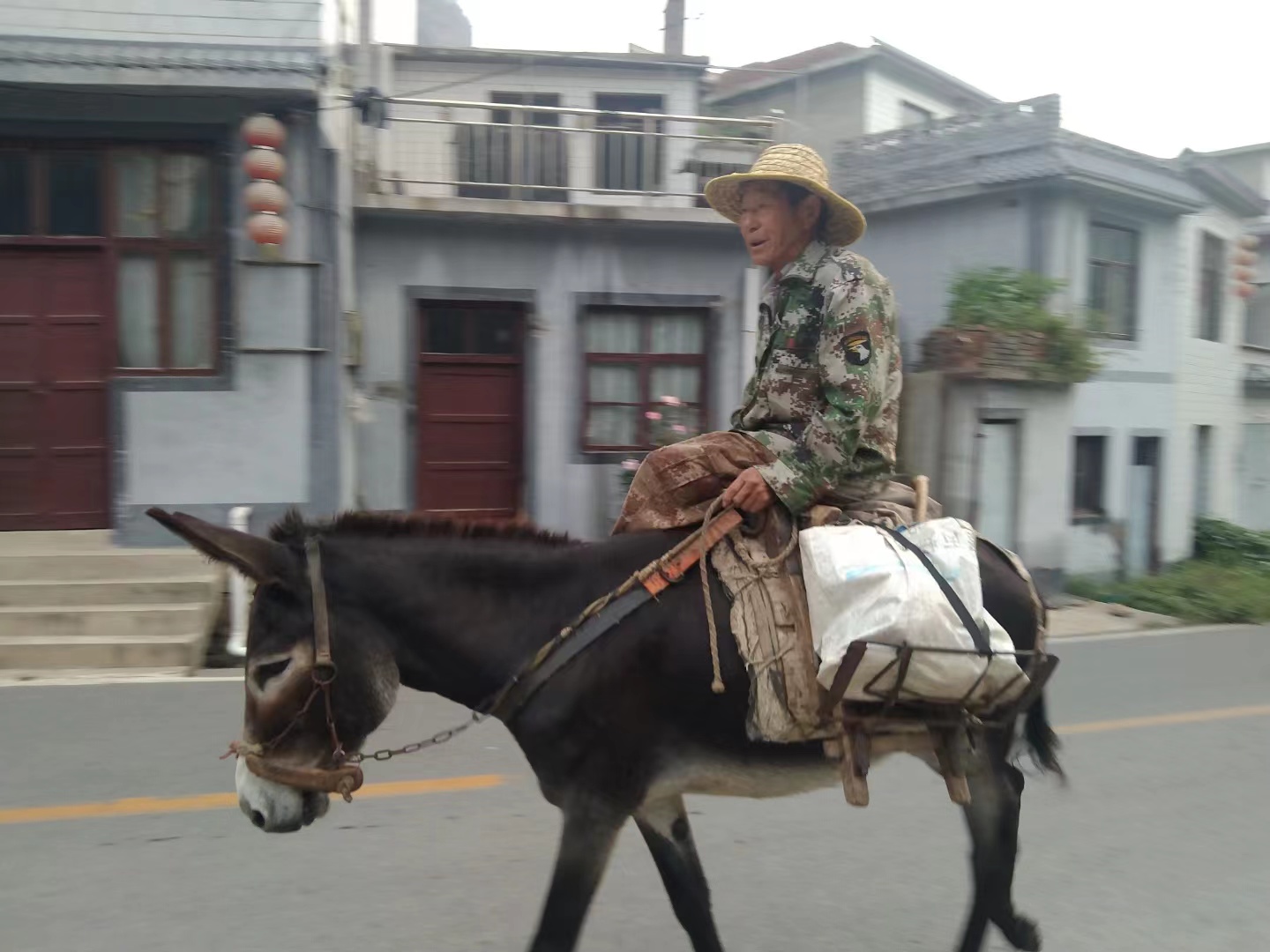 中国千年梯田茶园与草原 靠什么新登全球重要农业文化遗产？