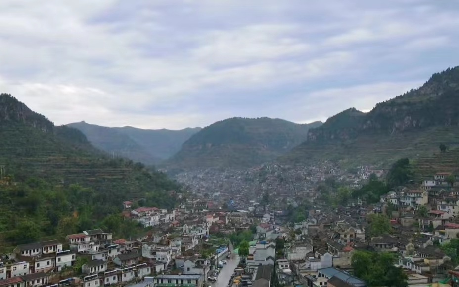 中国千年梯田茶园与草原 靠什么新登全球重要农业文化遗产？