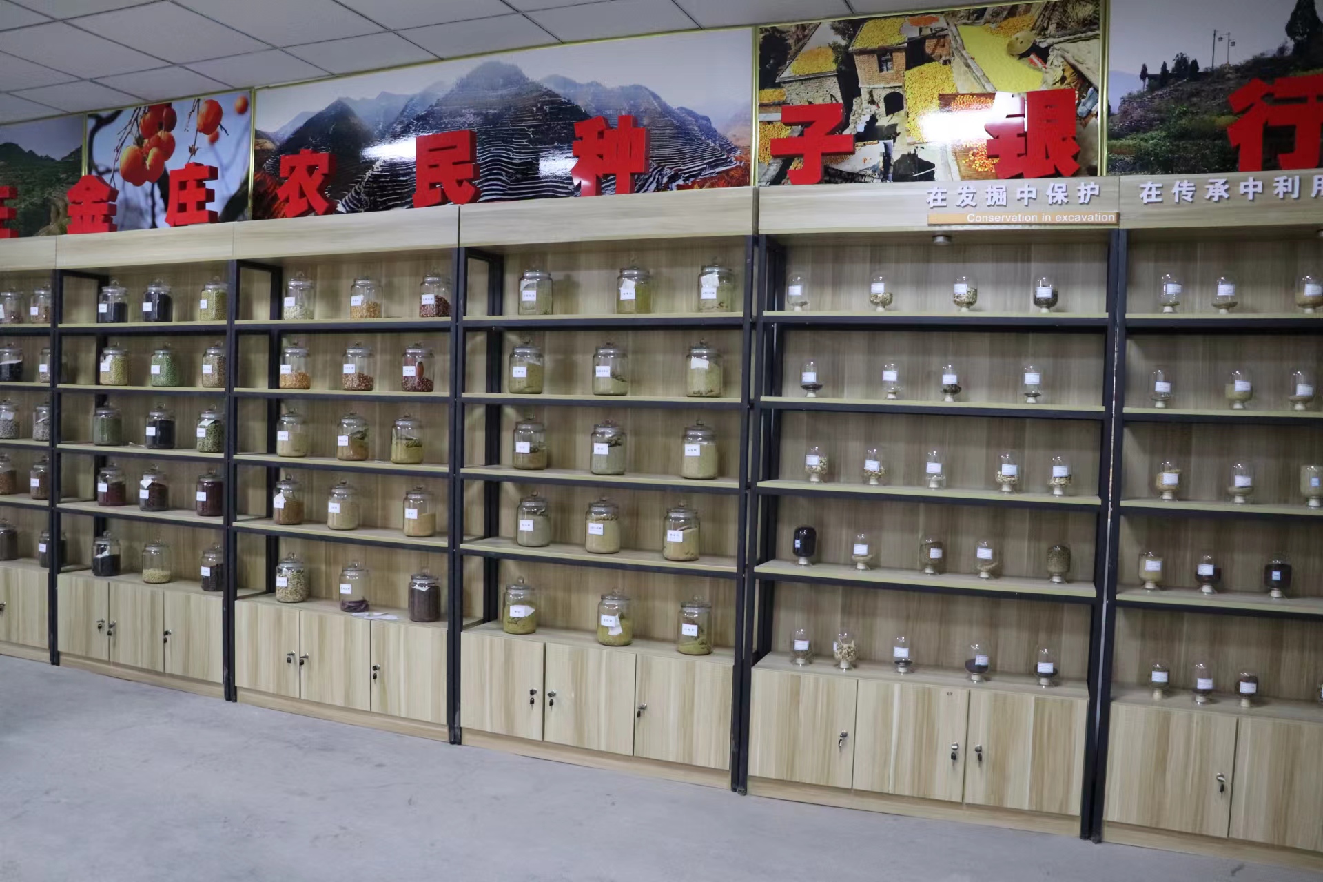 中国千年梯田茶园与草原 靠什么新登全球重要农业文化遗产？