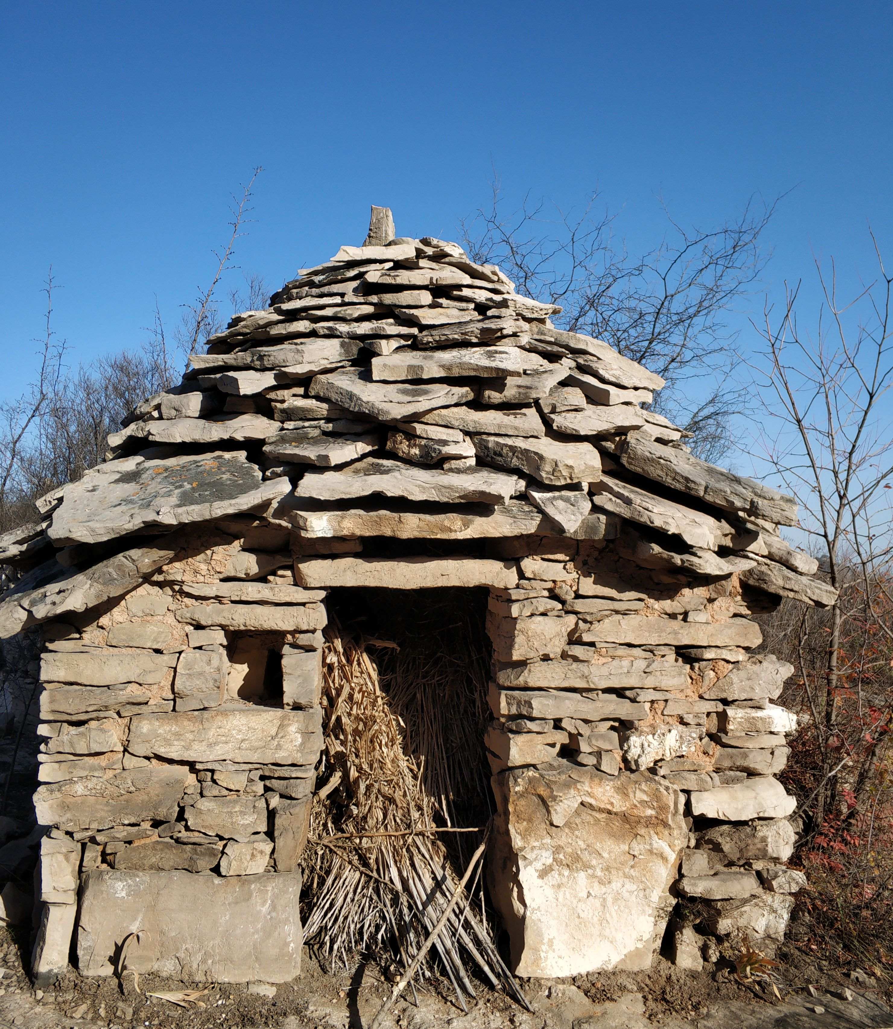 中国千年梯田茶园与草原 靠什么新登全球重要农业文化遗产？