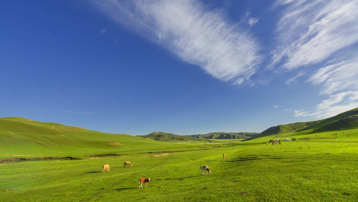 中国千年梯田茶园与草原 靠什么新登全球重要农业文化遗产？
